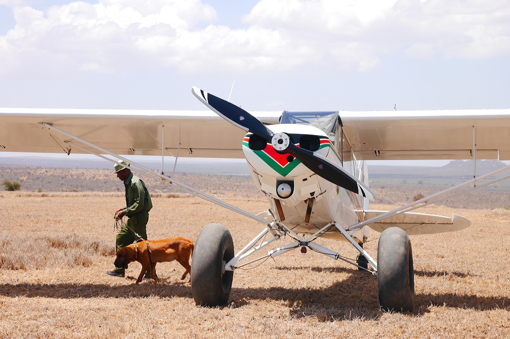 Image of a small plane with a ranger and dog walking away.
