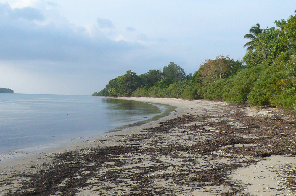 Beach