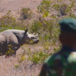 Image of a ranger at Borana Conservancy in Kenya is monitoring black rhino.