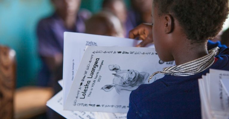 Image of environmental education programme in Zambia