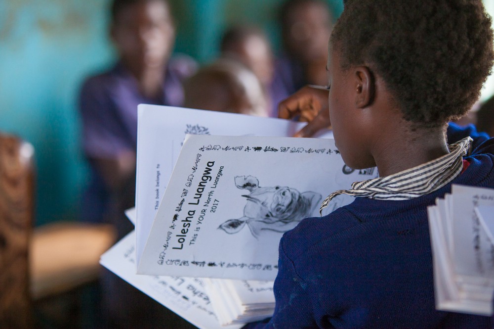 Image of environmental education programme in Zambia