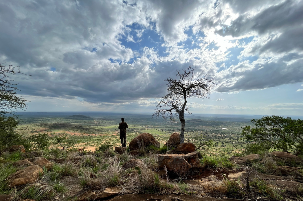 Ranger looking out over landscape