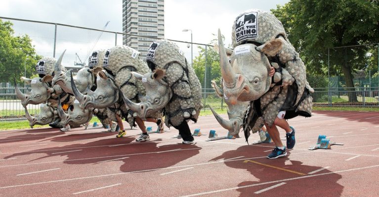 rhino costumes on a running track