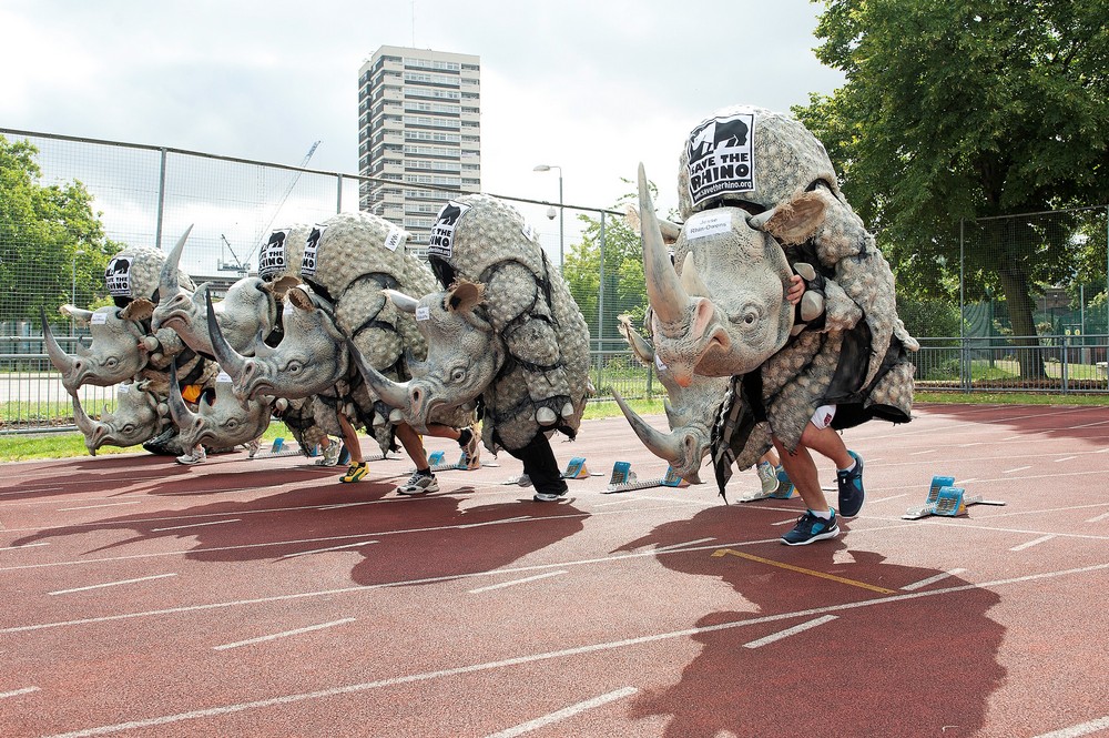 rhino costumes on a running track