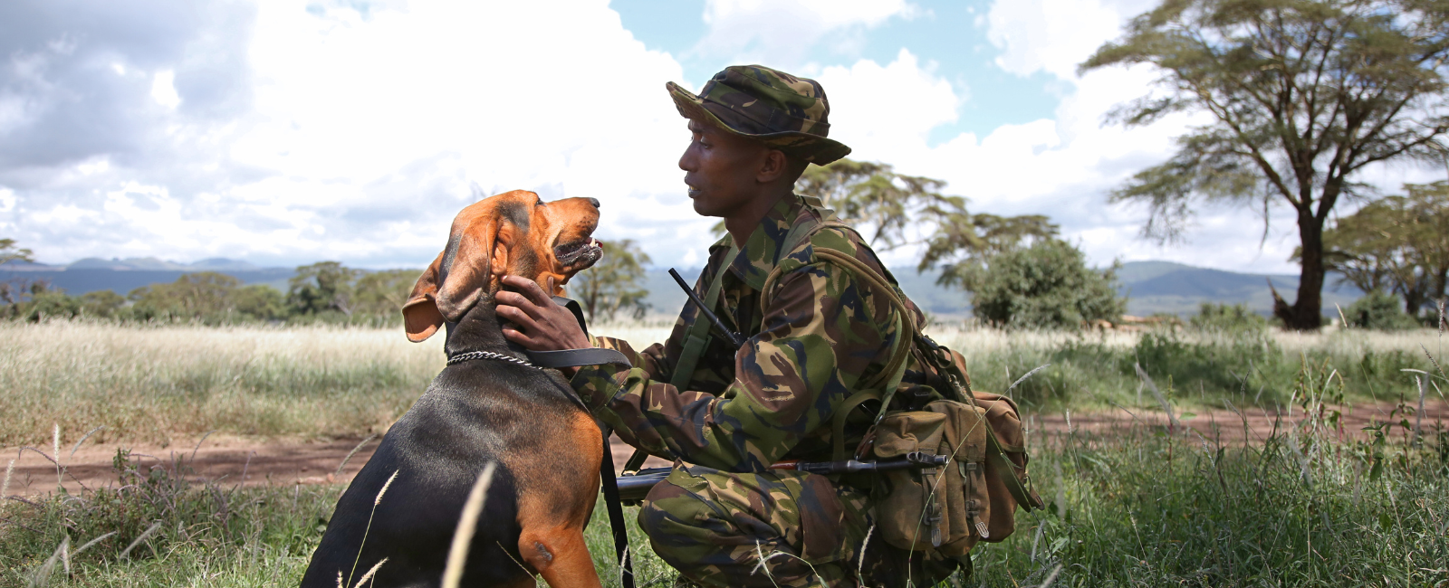 Man stroking dog in a field.