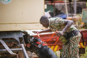 A ranger and his dog search a truck for rhino horn.