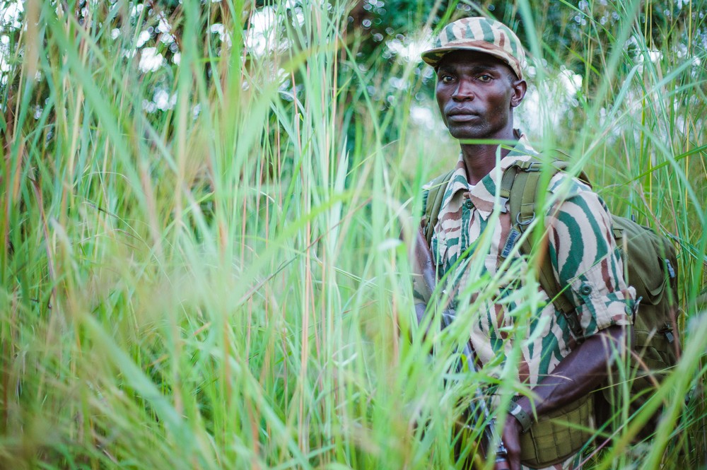 Ranger patrolling through thick grass in North Luangwa Park, Zambia.