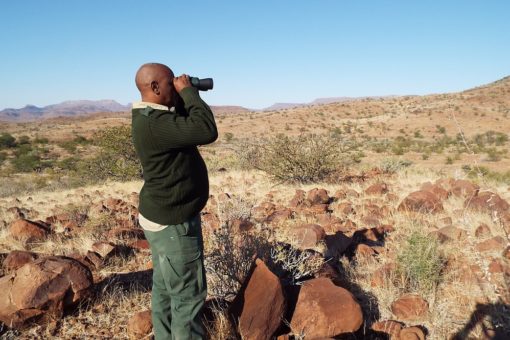 Image of a ranger looking for rhino in Namibia.