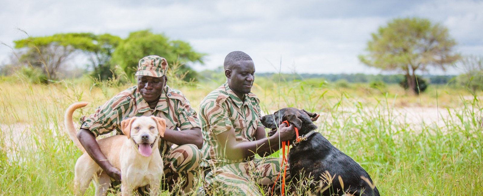 tracking dogs near me