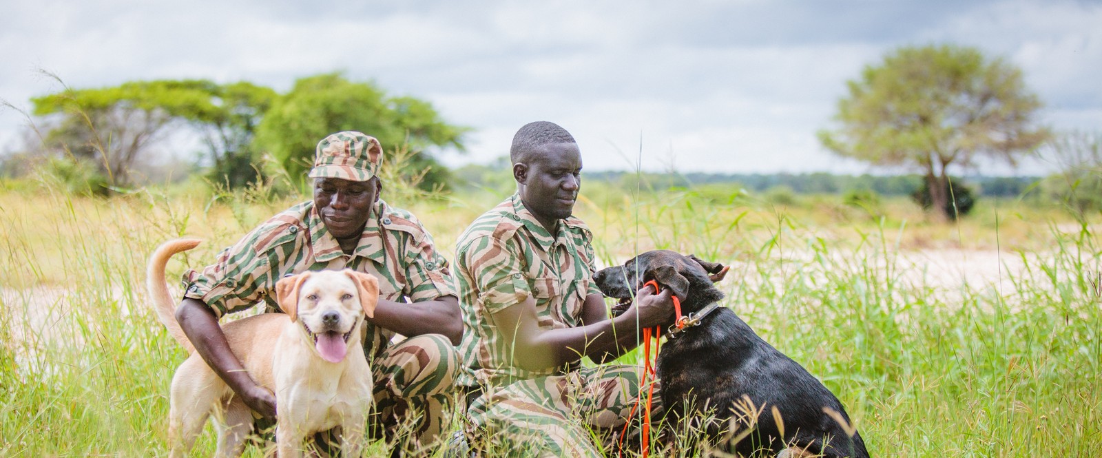 Image of rangers and their tracking and detection dogs who are an invaluable addition to field programmes’ anti-poaching patrols and technologies.