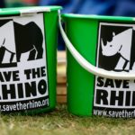 Close up of Save the Rhinos green collection buckets