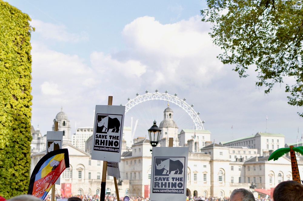 save the rhino placards being held high at the London marathon