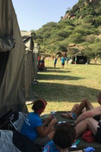 Image of camp with a friendly elephant!