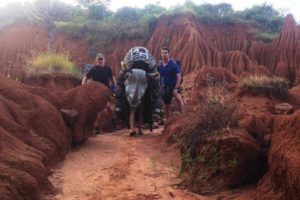 Photo of the rhino costume making its way through Ol Jogi