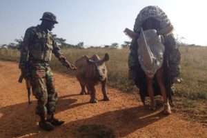 Image of the rhino costume meeting Mei Mei, an orphaned black rhino