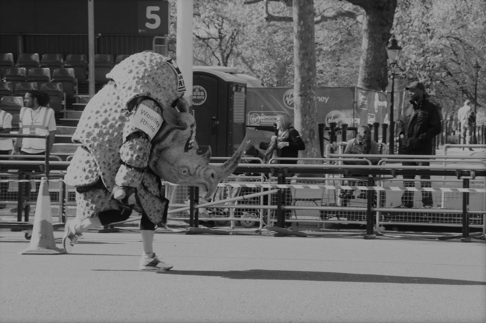 Image of rhino costume runner completing the London Marathon