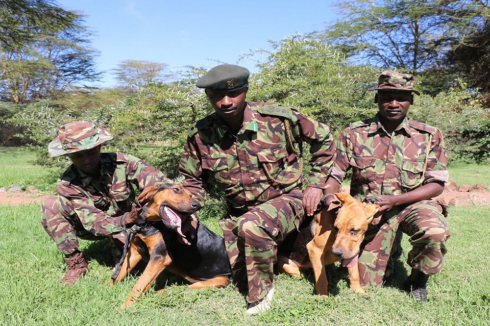 Three rangers and two dogs, Kenya