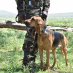 Ranger with a dog.