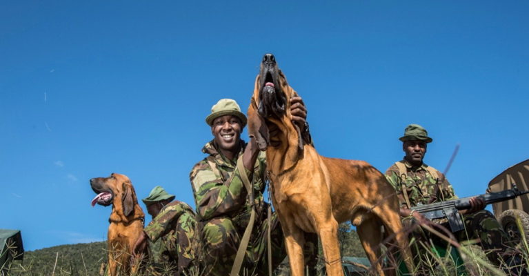 Three rangers smiling with two dogs.