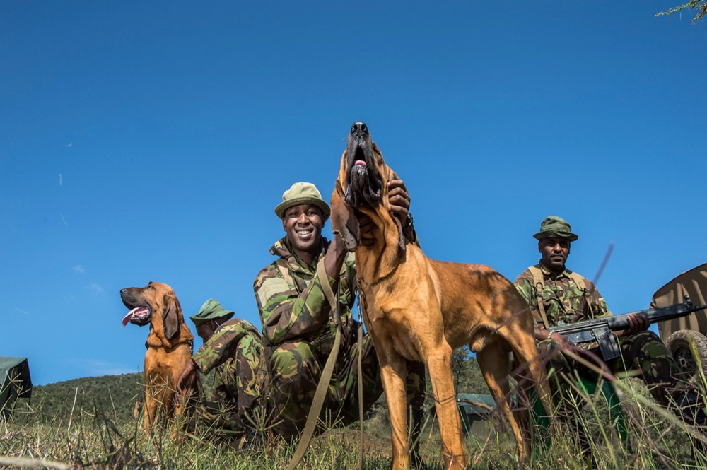 Three rangers smiling with two dogs.