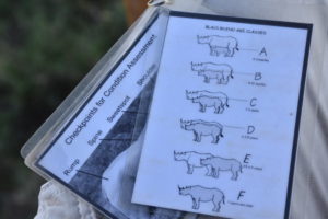 Rhino monitoring card