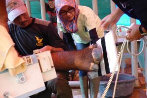 Image of vets taking measurements of the rhinos feet to gain more understanding