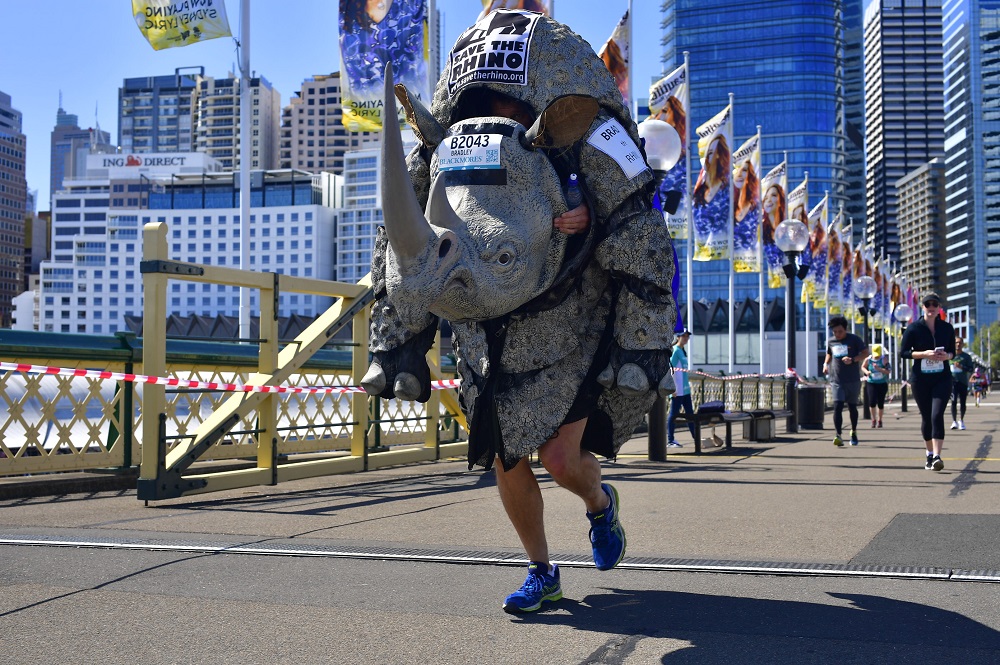 An image of Bradley Schroder running the Sydney Blackmores Marathon in a rhino costume
