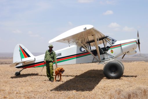 A ranger with his dog and Ol Jogi's plane.