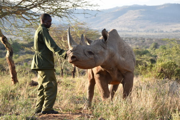 Emergency care for black rhinos | Kenya | Save the Rhino