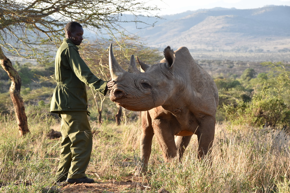 Donate | Rhino Conservation | Save the Rhino International