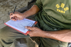 Writing notes on Sumatran rhinos