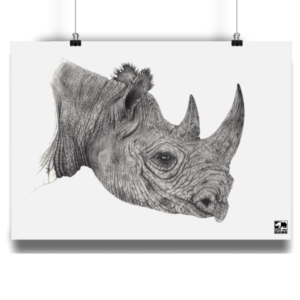 A4 Black Rhino – Unframed Print