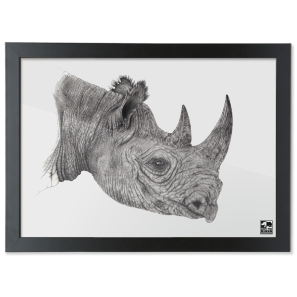 Black Framed print of Black Rhino