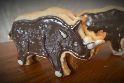 Chocolate covered rhino cookie