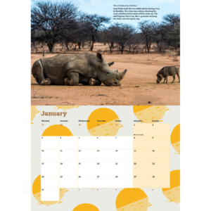 The January 2022 page from the calendar showing the layout including a photograph of a white rhino and a warthog.