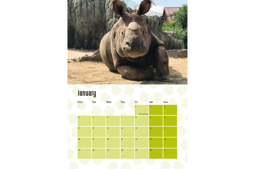 2022 Rhino Calendar Competition Save The Rhino