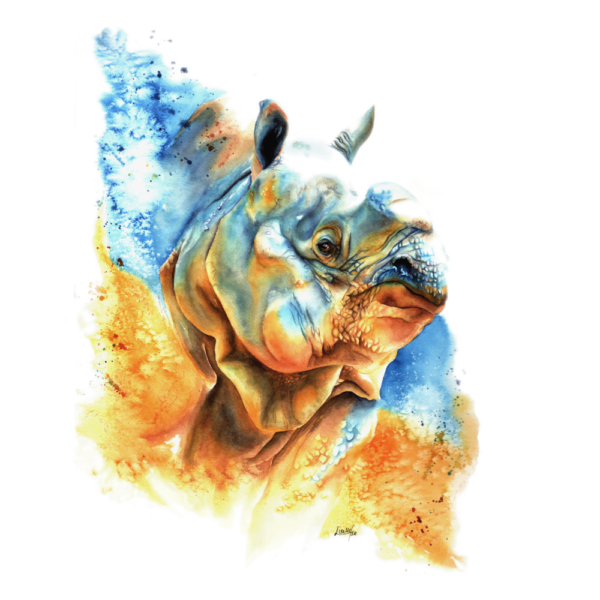 Jaya rhino design
