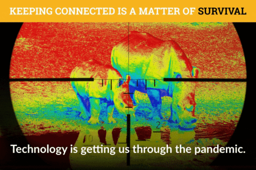 Rhino infrared - help rangers stay connected to rhinos