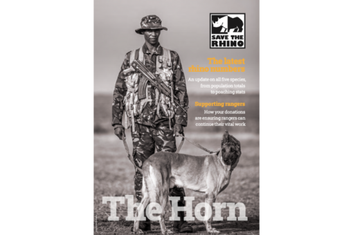 The Horn 2021 Cover