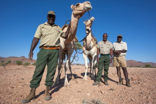 SRT team with camel