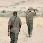 Save the Rhino Trust Namibia Rangers