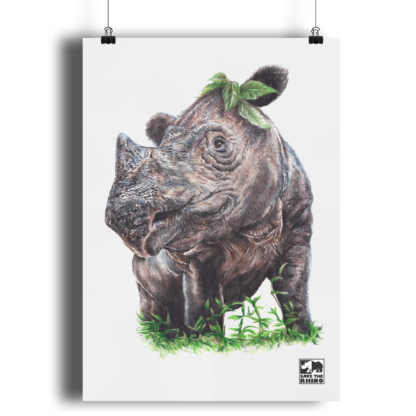 An image of the A3 Sumatran rhino print in colour on a white background.