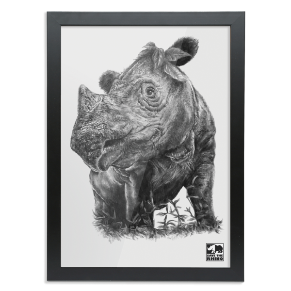 An image showing the A3 Sumatran rhino black and white design in a black frame on a white background.