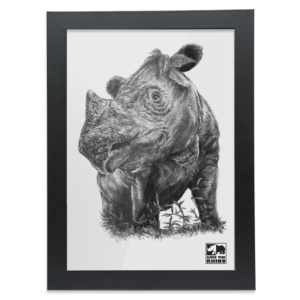 An image showing the A4 Sumatran rhino black and white design in a black frame on a white background.