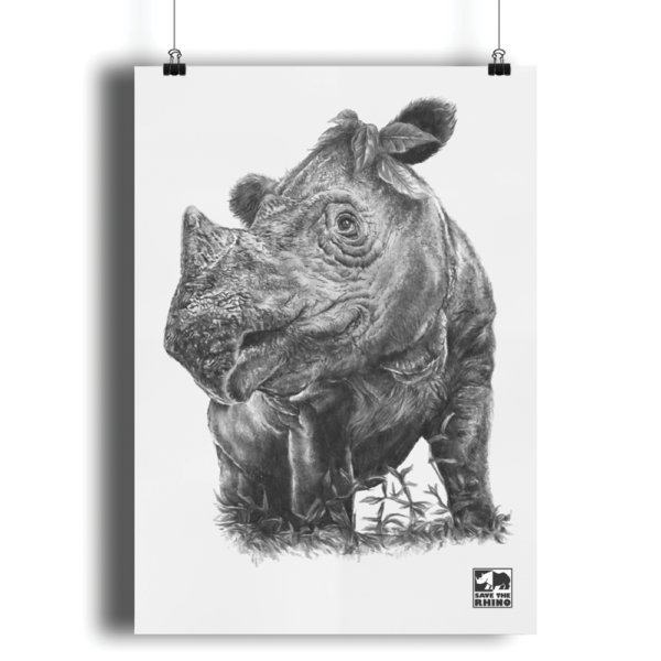 An image of the A4 Sumatran rhino print in black and white on a white background.