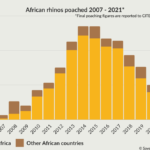 Graph showing poaching 2007-2021, SA numbers split out.
