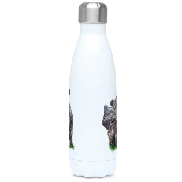 The central view of the Sumatran rhino water bottle in colour shown on a white background.