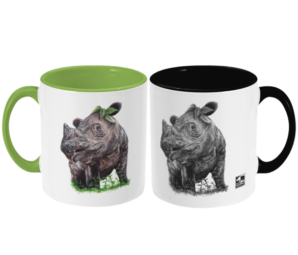 Two Sumatran rhino mugs on a white background
