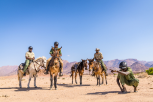 Group of mules being ridden by rangers.