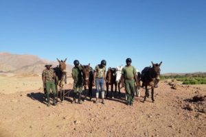 Group of rangers and their mules.